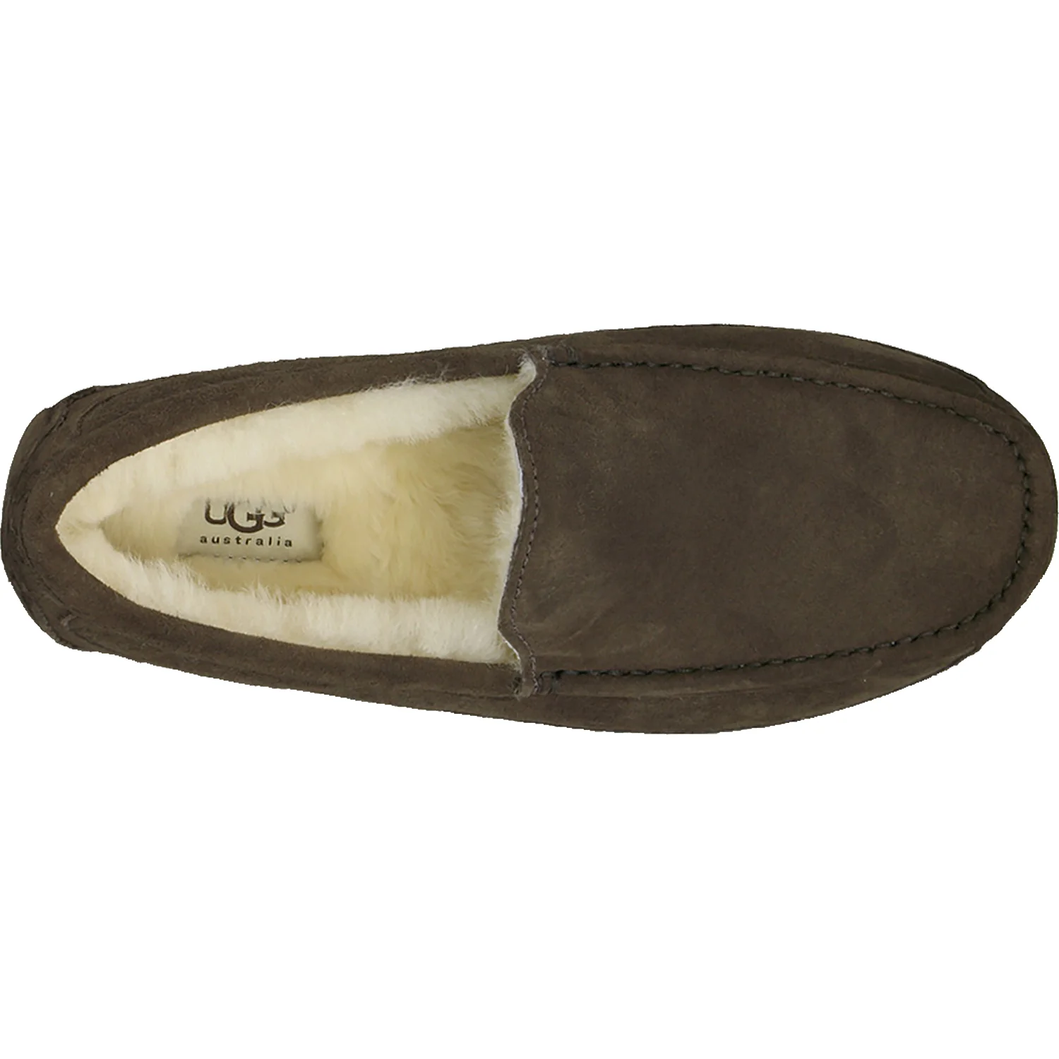 UGG Ascot Men's Slippers Espresso Suede - Image 2