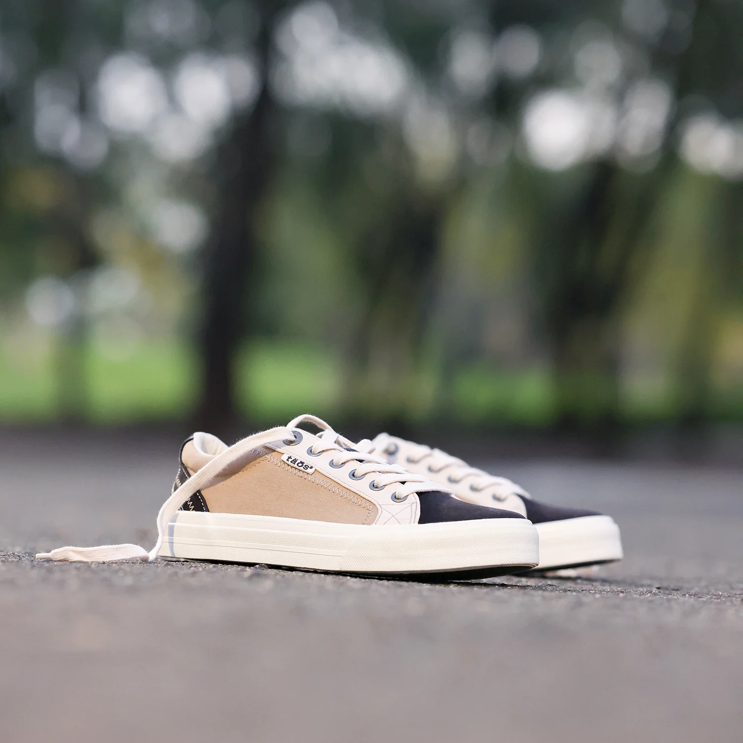 Taos Plim Soul Women's Sneakers Black/Tan Multi Canvas - Image 7