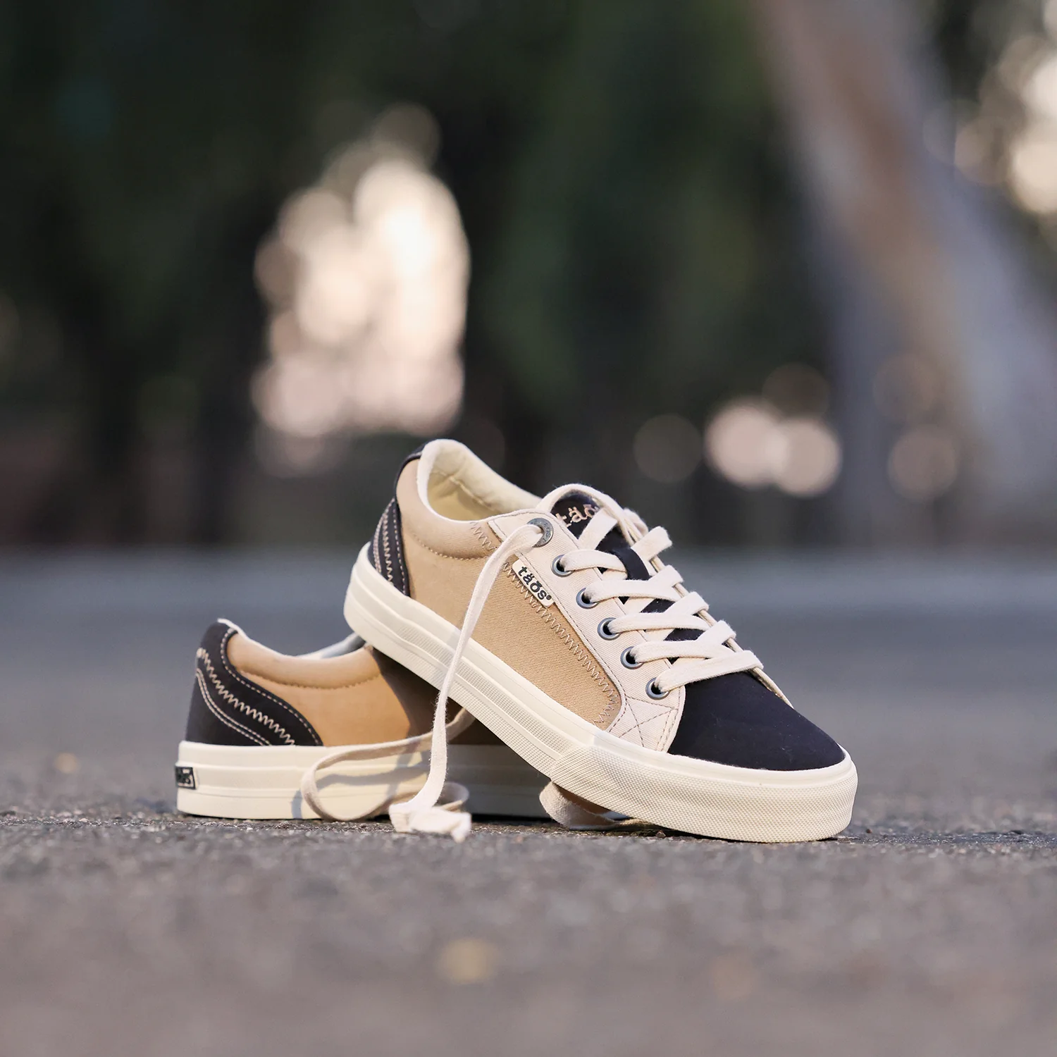Taos Plim Soul Women's Sneakers Black/Tan Multi Canvas - Image 8